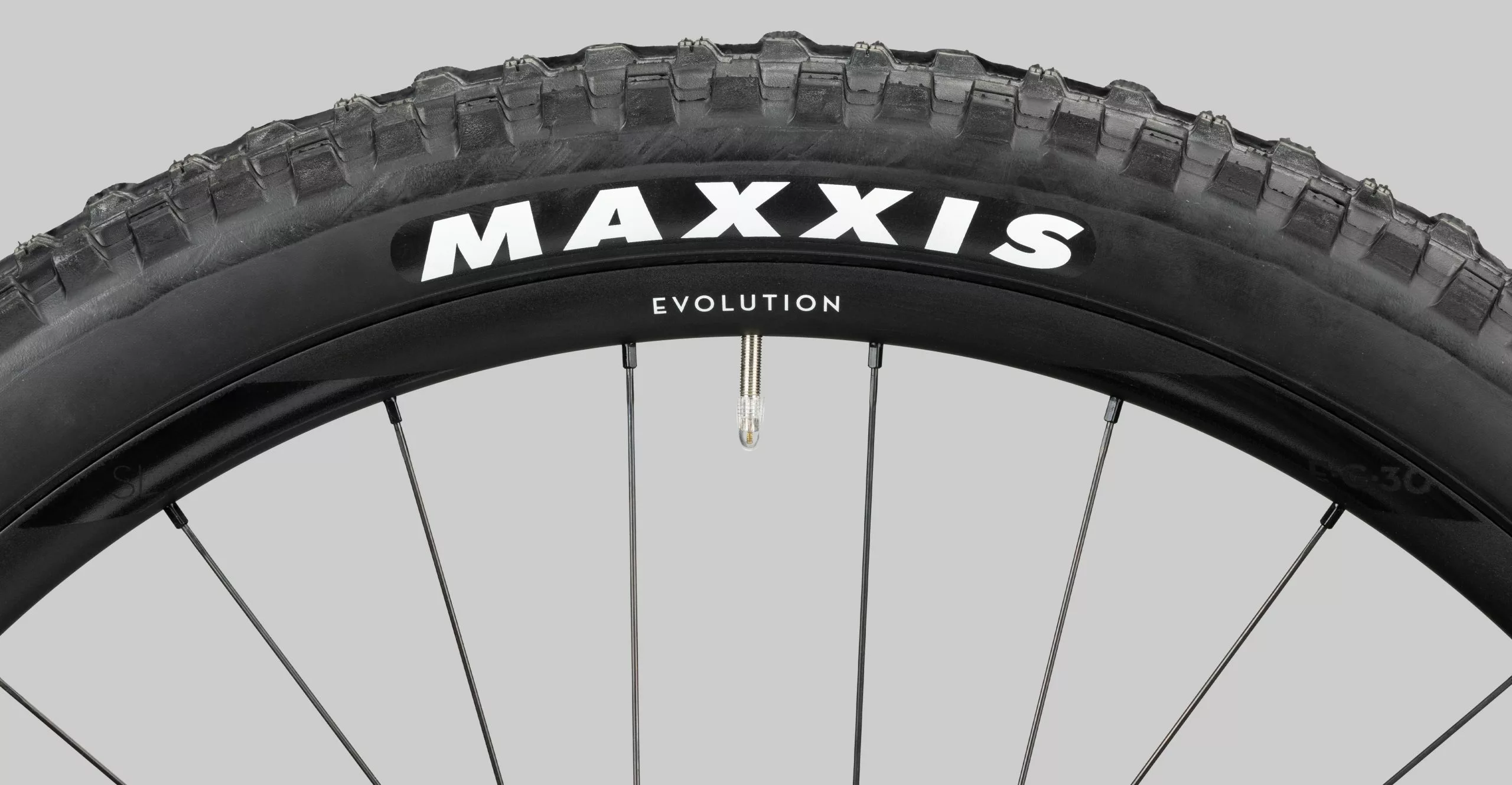 Radon Deft 10.0 750 4 Radon Deft 10.0 750 – Bild 4