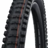 Schwalbe Big Betty Evo Super Gravity 29" Addix Soft E-50 Faltreifen