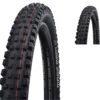 Schwalbe Magic Mary Evo Super Gravity 29" Addix E-50 Faltreifen