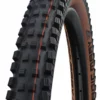 Schwalbe Magic Mary Evo Super Gravity 29x2,40" Addix Soft E-25 Faltreifen