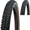 Schwalbe Wicked Will Evo Super Ground 29" Addix E-50 Faltreifen